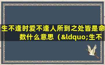 生不逢时爱不逢人所到之处皆是命数什么意思（“生不逢时 爱不逢人 所到之处 皆是命数”什么意思）